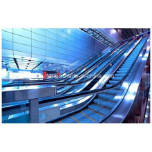 Indoor Escalator with 30 Degree 800mm Step Width